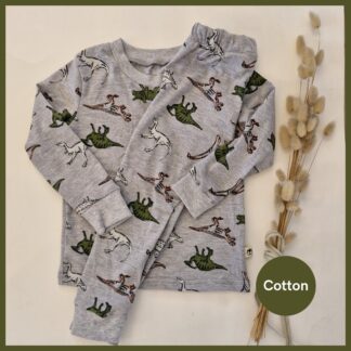 Dinosaurs Long Sleeve Pyjama Set