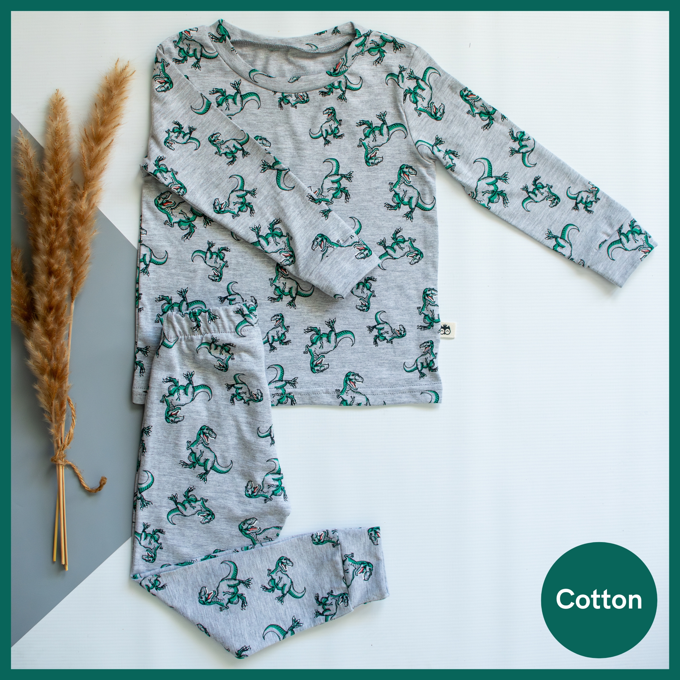 Grey and Green Dino Long Sleeve Pyjama Set