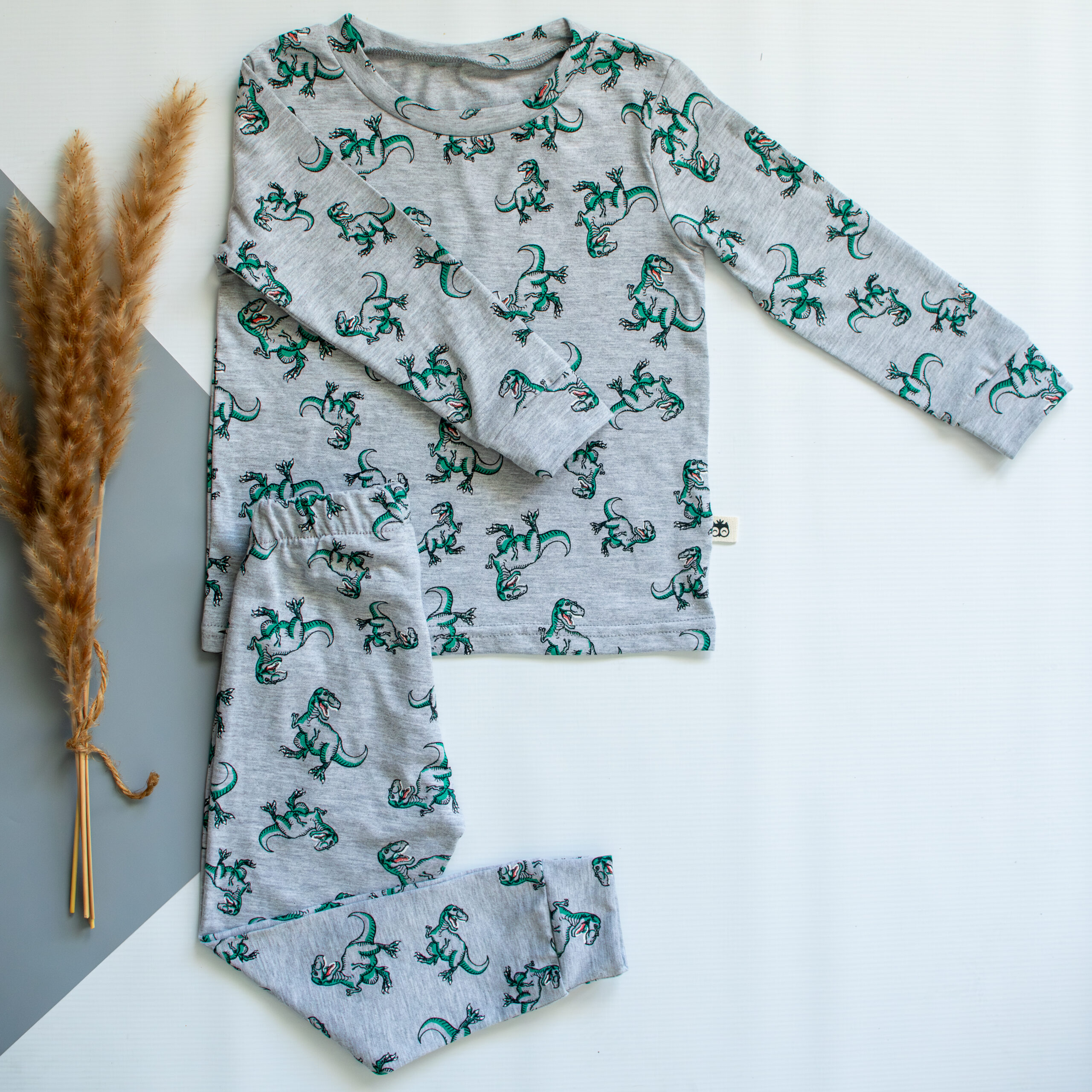 Grey and Green Dino Long Sleeve Pyjama Set