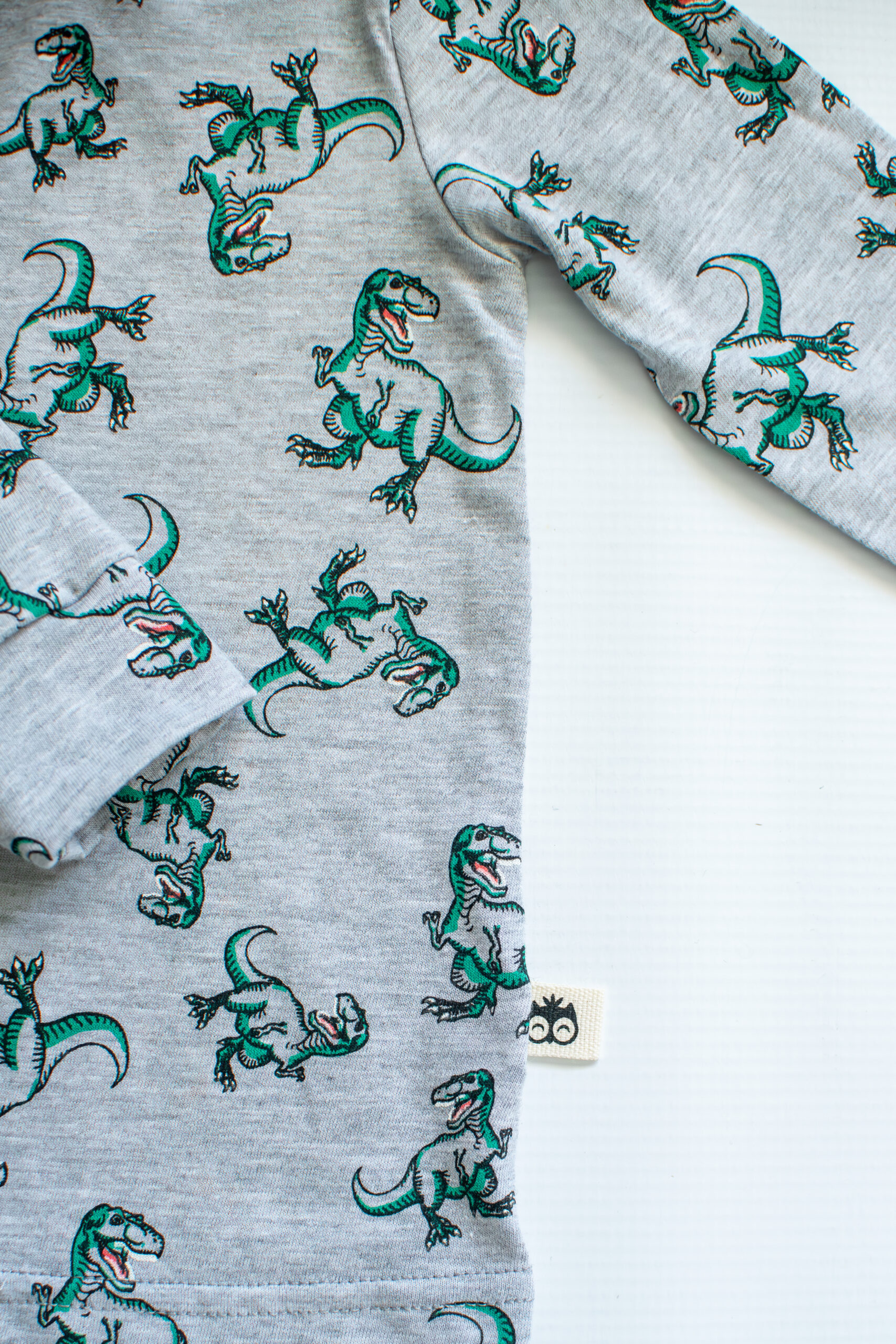 Grey and Green Dino Long Sleeve Pyjama Set