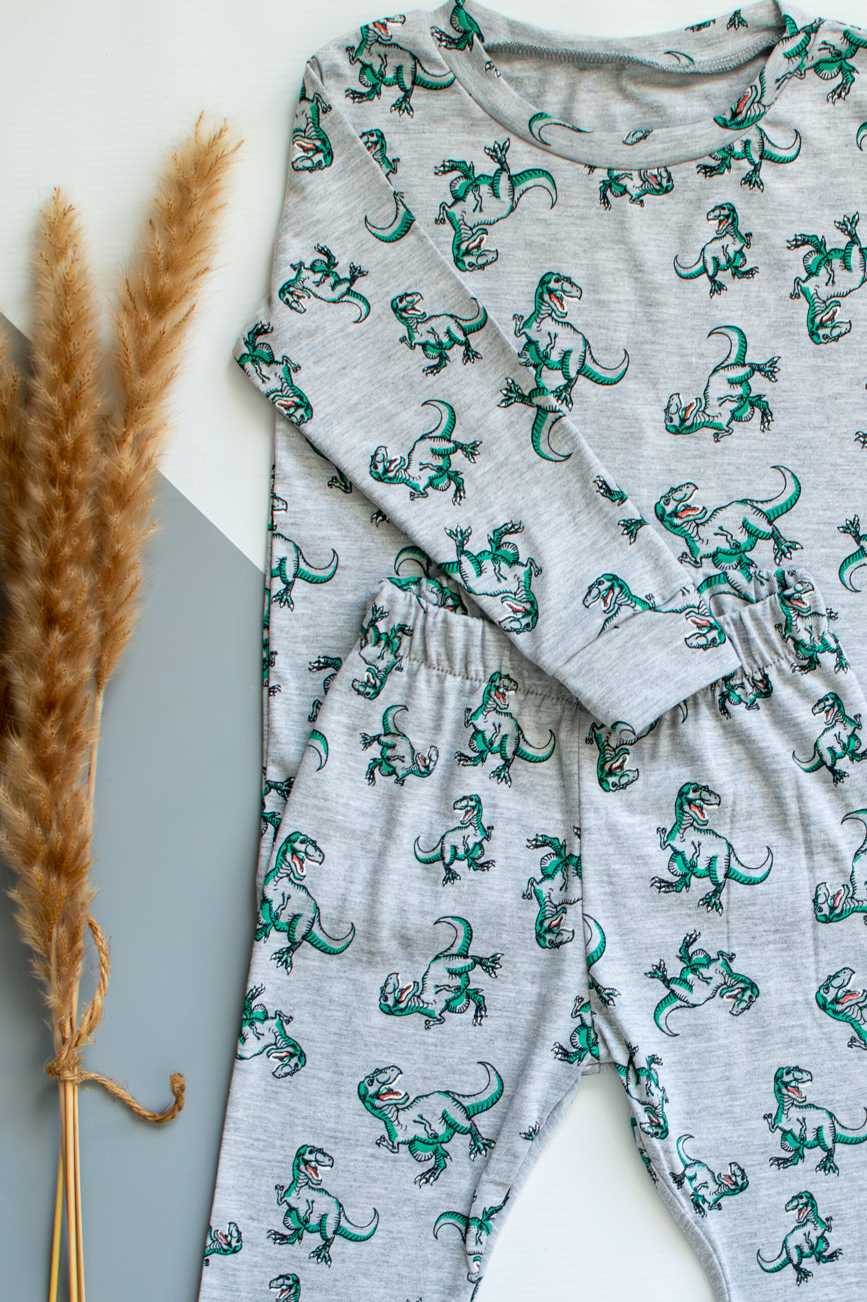Grey and Green Dino Long Sleeve Pyjama Set